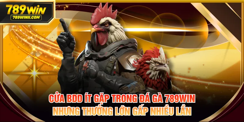 Cửa BDD ít gặp trong đá gà 789WIN nhưng thưởng lớn gấp nhiều lần