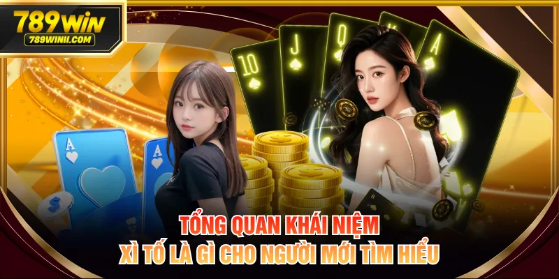 Tổng quan khái niệm xì tố là gì cho người mới tìm hiểu